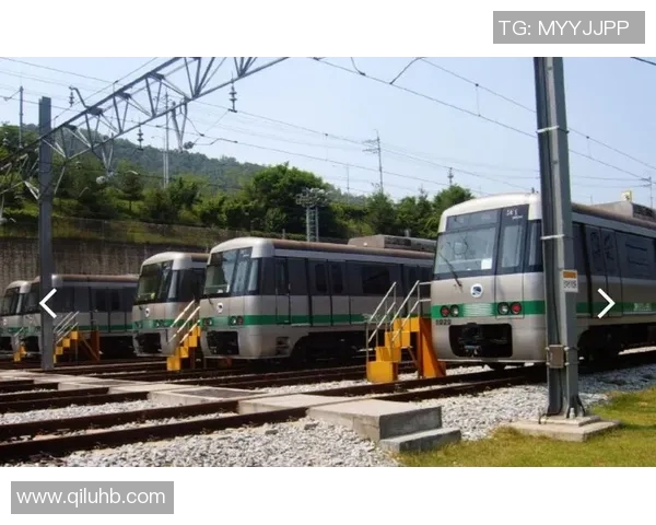 金海市与大田地铁的未来发展对比与启示探讨